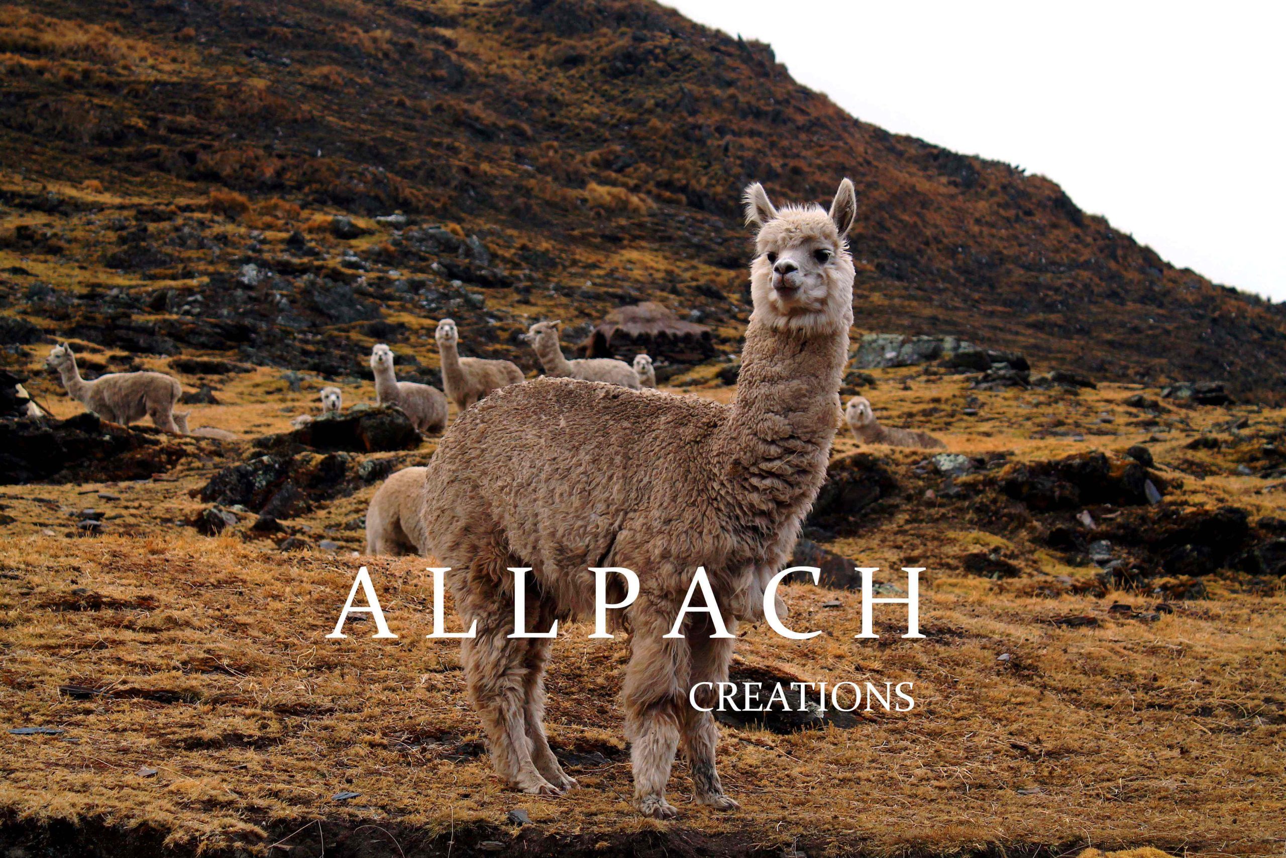 ALLPACH Créations Lama