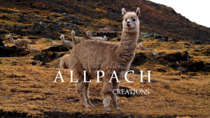 ALLPACH Créations Avant