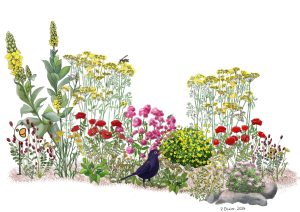 The new botanist