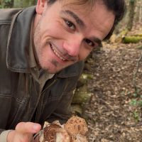 Les pouvoirs extraordinaires des champignons