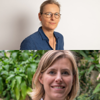 Santé sous pression : regards croisés sur l’alimentation et les médicaments