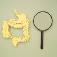 Nos divers microbiotes : celui du cerveau est identique à celui de notre intestin, d’où son importance! C’est notre identité. Comment le réparer et l’entretenir ?